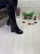Женские сапоги черные на устойчивом каблуке из натуральной кожа НАН 1-1, 41, деми, байка