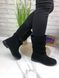 Жіночі чоботи з натуральної замші чорні без каблука ALBA 2-2, 36, зима, набивна вовна