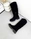 Жіночі чоботи - труби на платформі натуральна замша KISS 2-1, 36, зима, набивна вовна