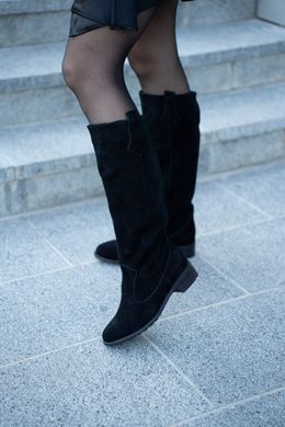Жіночі чоботи - труби натуральна замша NIPA 1-1, 35, зима, набивна вовна