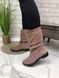 Жіночі чоботи з натуральної замші пудра без каблука ALBA 2-3, 41, деми, байка
