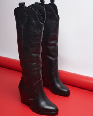 Женские высокие сапоги - казаки на каблуке натуральная кожа KAZAK 2-2, 36, зима, набивная шерсть