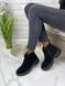 Жіночі черевики челсі чорні на низькому ходу натуральна замша BERTA 1-2, 41, деми, байка