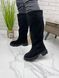 Жіночі чоботи на низькому ходу чорні з натуральної замши MARINA 1-2, 36, зима, набивна вовна