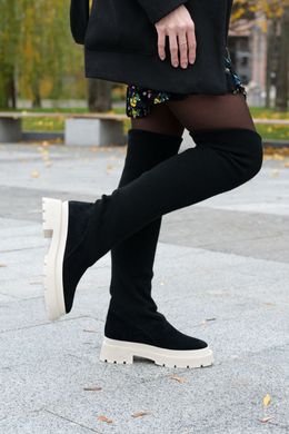 Жіночі чоботи з трикотажним Довяз натуральна замша LOCANA 1-3, 41, деми, байка