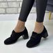 Жіночі туфлі чорні на стійкому каблуці натуральна замша MAVA 1-5, 36, деми, натуральна шкіра