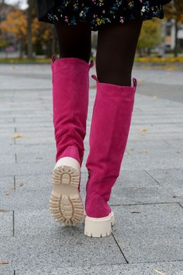 Жіночі чоботи - труби на платформі натуральна замша MENTA 2-1, 36, зима, набивна вовна