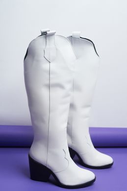Женские высокие сапоги - казаки на каблуке натуральная кожа KAZAK 2-3, 36, зима, набивная шерсть