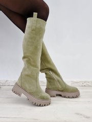 Жіночі чоботи - труби на платформі натуральна замша MENTA 1-5, 41, деми, байка