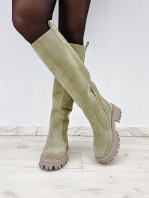 Жіночі чоботи - труби на платформі натуральна замша MENTA 1-5, 41, деми, байка
